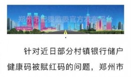 河南银行最新爆料新闻,揭秘神秘资金流向与监管漏洞